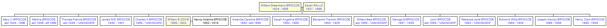 Mini tree diagram