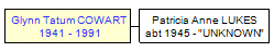 Mini tree diagram