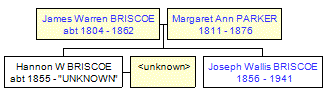 Mini tree diagram