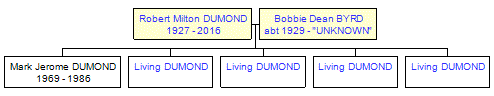 Mini tree diagram