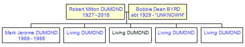 Mini tree diagram