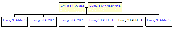 Mini tree diagram