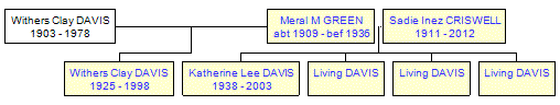 Mini tree diagram