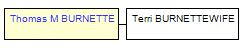 Mini tree diagram