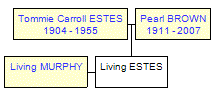 Mini tree diagram