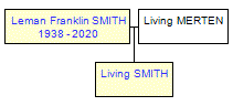 Mini tree diagram