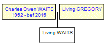 Mini tree diagram