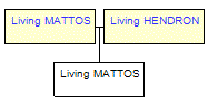 Mini tree diagram