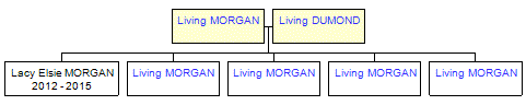 Mini tree diagram