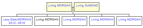 Mini tree diagram