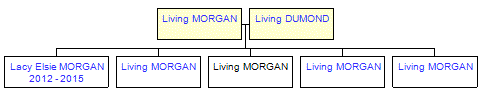 Mini tree diagram