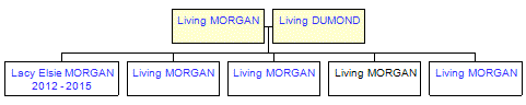 Mini tree diagram