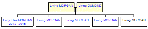 Mini tree diagram