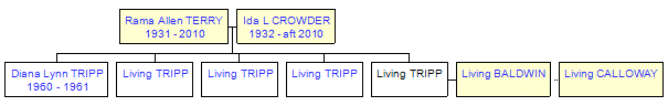 Mini tree diagram