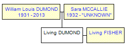 Mini tree diagram