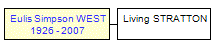 Mini tree diagram