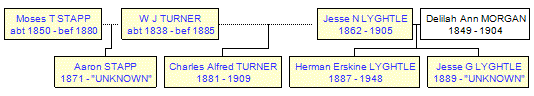 Mini tree diagram