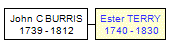 Mini tree diagram