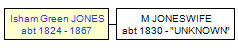 Mini tree diagram