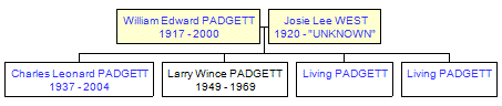 Mini tree diagram