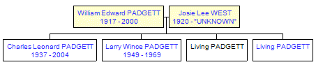 Mini tree diagram