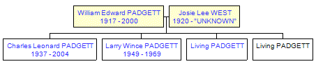 Mini tree diagram