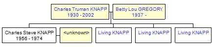 Mini tree diagram