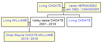 Mini tree diagram