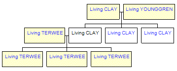 Mini tree diagram