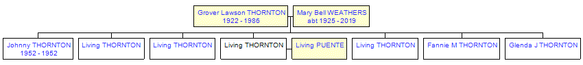 Mini tree diagram