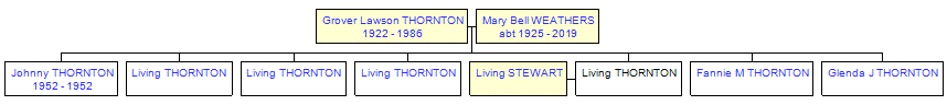 Mini tree diagram