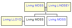 Mini tree diagram