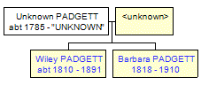 Mini tree diagram