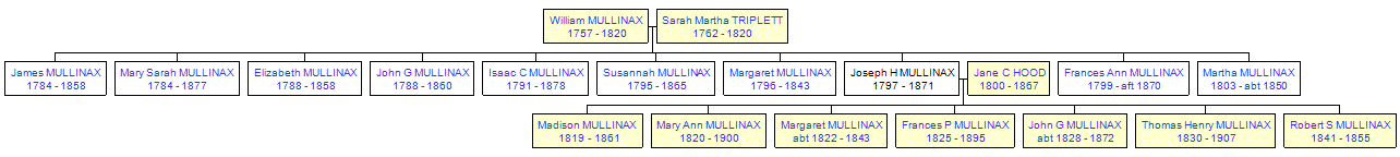 Mini tree diagram