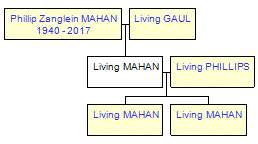 Mini tree diagram