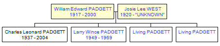 Mini tree diagram