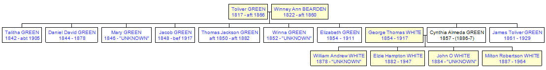 Mini tree diagram