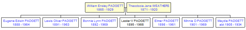 Mini tree diagram