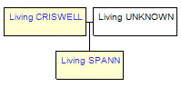 Mini tree diagram