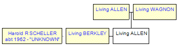 Mini tree diagram