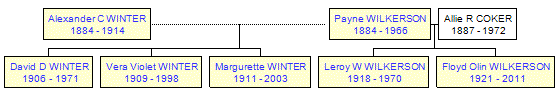 Mini tree diagram