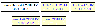 Mini tree diagram