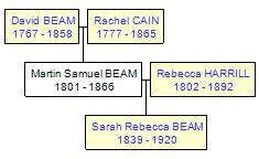 Mini tree diagram