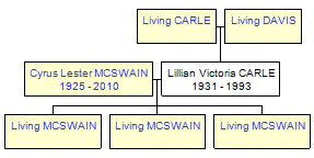 Mini tree diagram