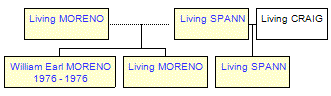 Mini tree diagram