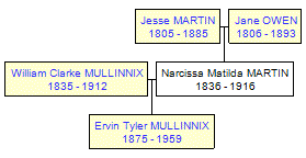 Mini tree diagram