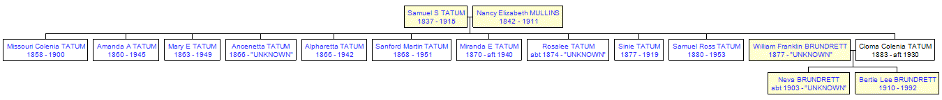 Mini tree diagram