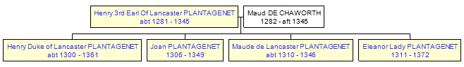 Mini tree diagram