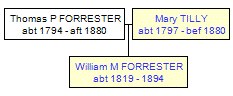 Mini tree diagram