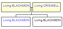 Mini tree diagram